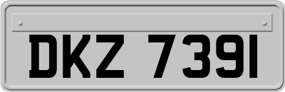DKZ7391