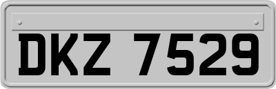 DKZ7529