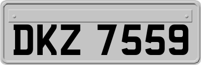 DKZ7559