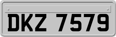 DKZ7579