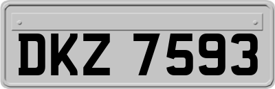 DKZ7593