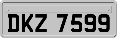 DKZ7599