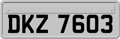 DKZ7603