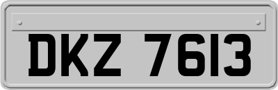 DKZ7613
