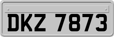 DKZ7873
