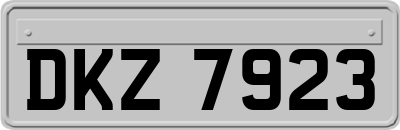 DKZ7923