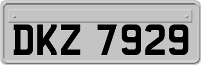 DKZ7929
