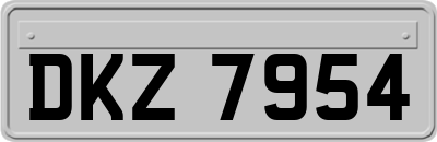 DKZ7954