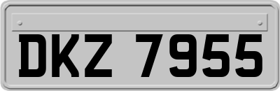 DKZ7955