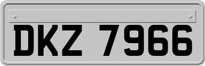 DKZ7966