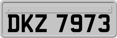 DKZ7973