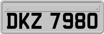 DKZ7980