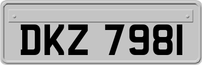 DKZ7981