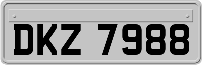 DKZ7988