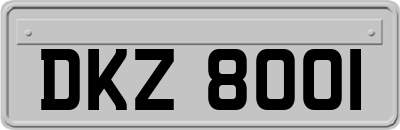 DKZ8001