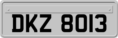 DKZ8013