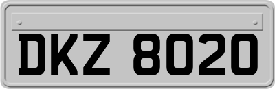 DKZ8020