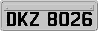 DKZ8026
