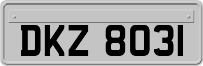 DKZ8031