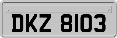 DKZ8103