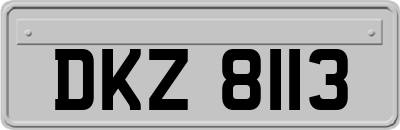 DKZ8113