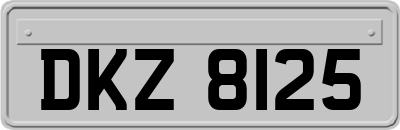 DKZ8125