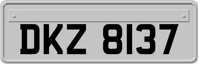 DKZ8137