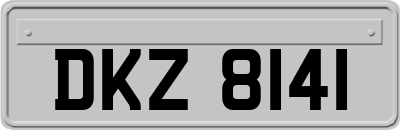 DKZ8141
