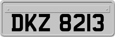 DKZ8213