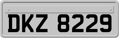 DKZ8229