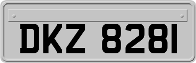 DKZ8281