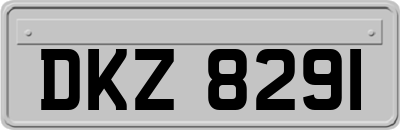 DKZ8291
