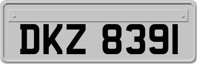 DKZ8391