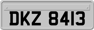 DKZ8413