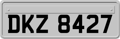 DKZ8427