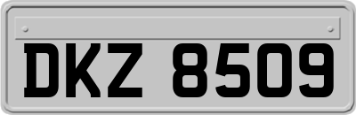 DKZ8509