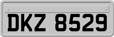 DKZ8529