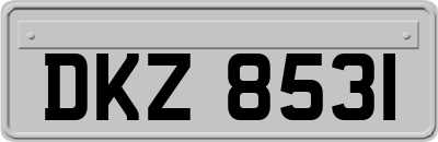 DKZ8531