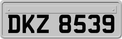 DKZ8539