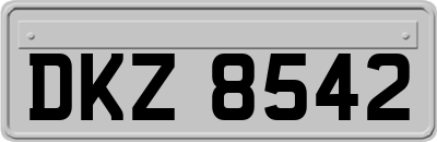 DKZ8542