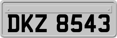 DKZ8543