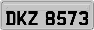 DKZ8573