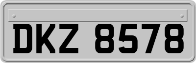 DKZ8578