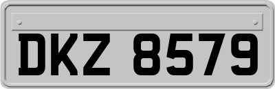 DKZ8579