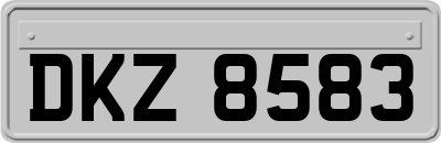 DKZ8583