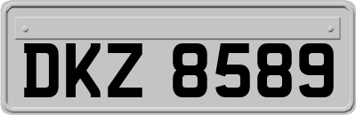 DKZ8589