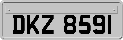 DKZ8591