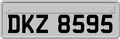 DKZ8595