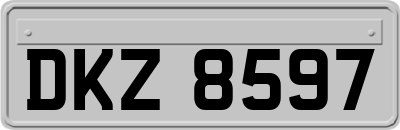 DKZ8597