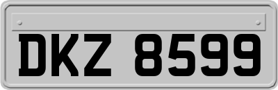 DKZ8599